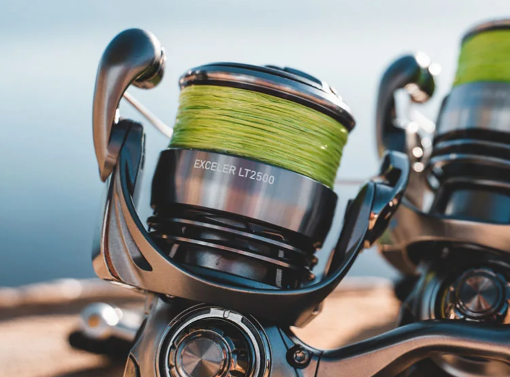 Daiwa exceler discount