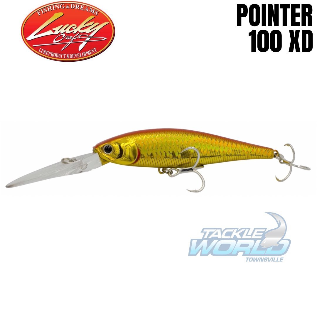 Lucky Craft Barra Pointer 100mm XD