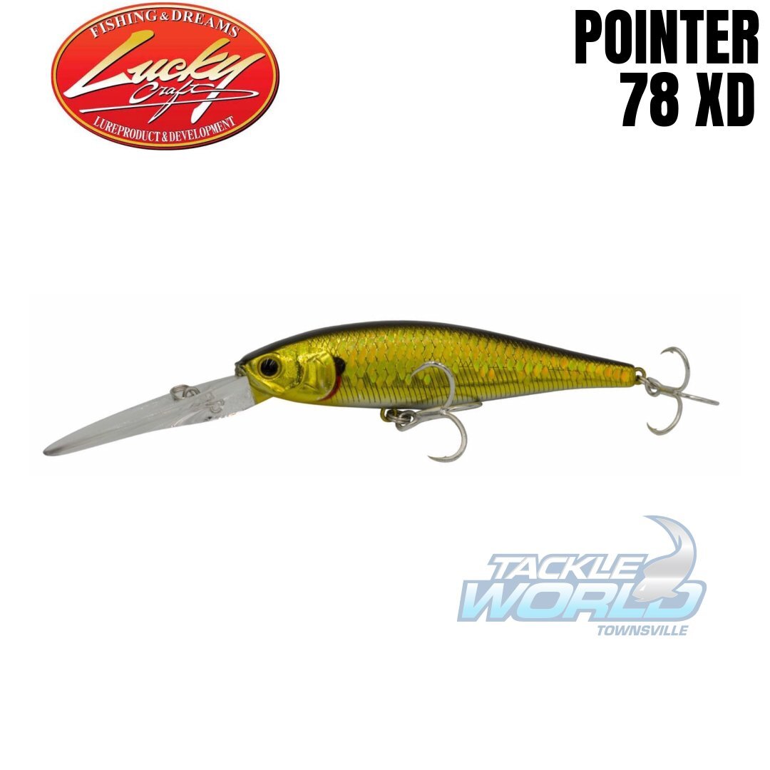 Lucky Craft Barra Pointer 78mm XD