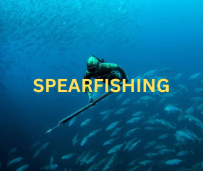 Tackle World, Fishing Gear, Spearfishing Gear