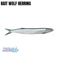 Bait Wolf Herring