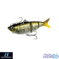 Barambah Bony Shad X