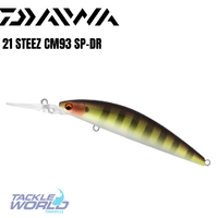 Daiwa 21 Steez CM93 SP-DR