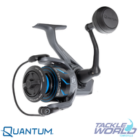 Quantum Merit Spin Reels