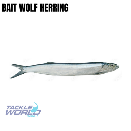 Bait Wolf Herring