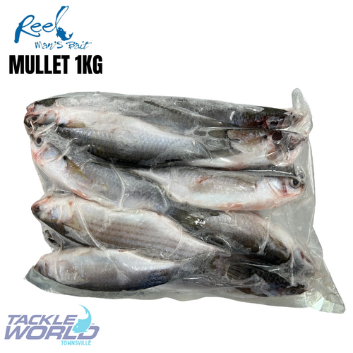 Bait Mullet 1Kg